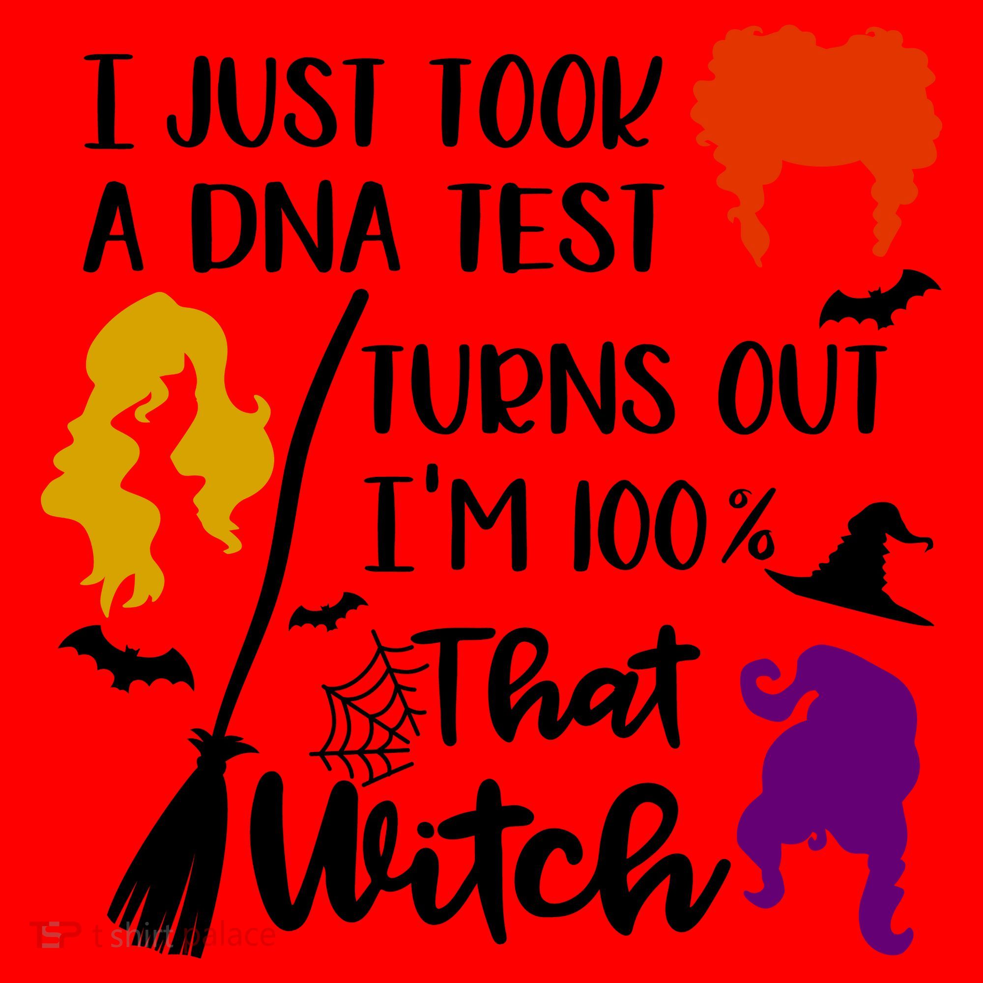 I Just Took A Dna Test Turns Out I'm 100 That Witch Halloween Quote Santa Hat
