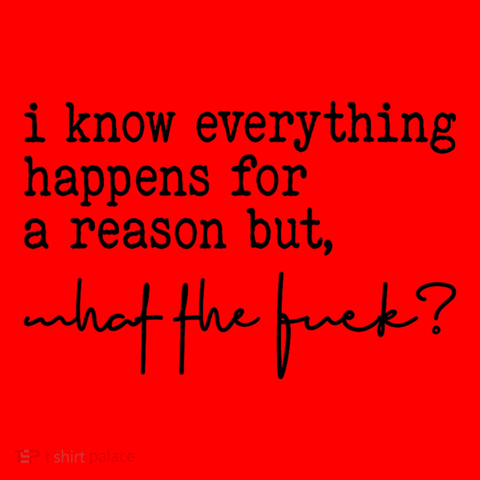 I Know Everything Happens For A Reason But What The Fuck Santa Hat