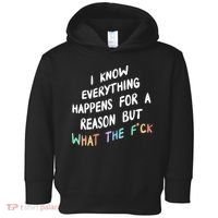 I Know Everything Happens For A Reason But Wtf Toddler Hoodie thumb 0