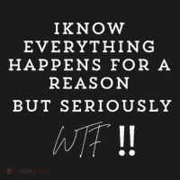 I Know Everything Happens For A Reason But Wtf Funny Doggie Tank thumb 4