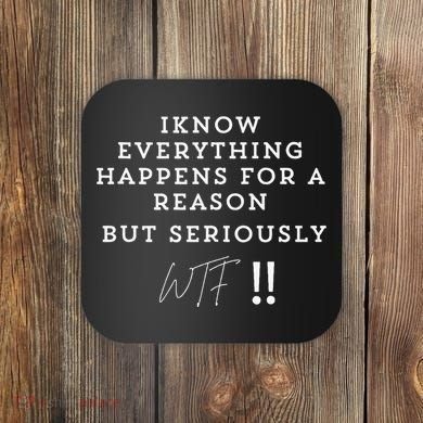 I Know Everything Happens For A Reason But Wtf Funny Coaster