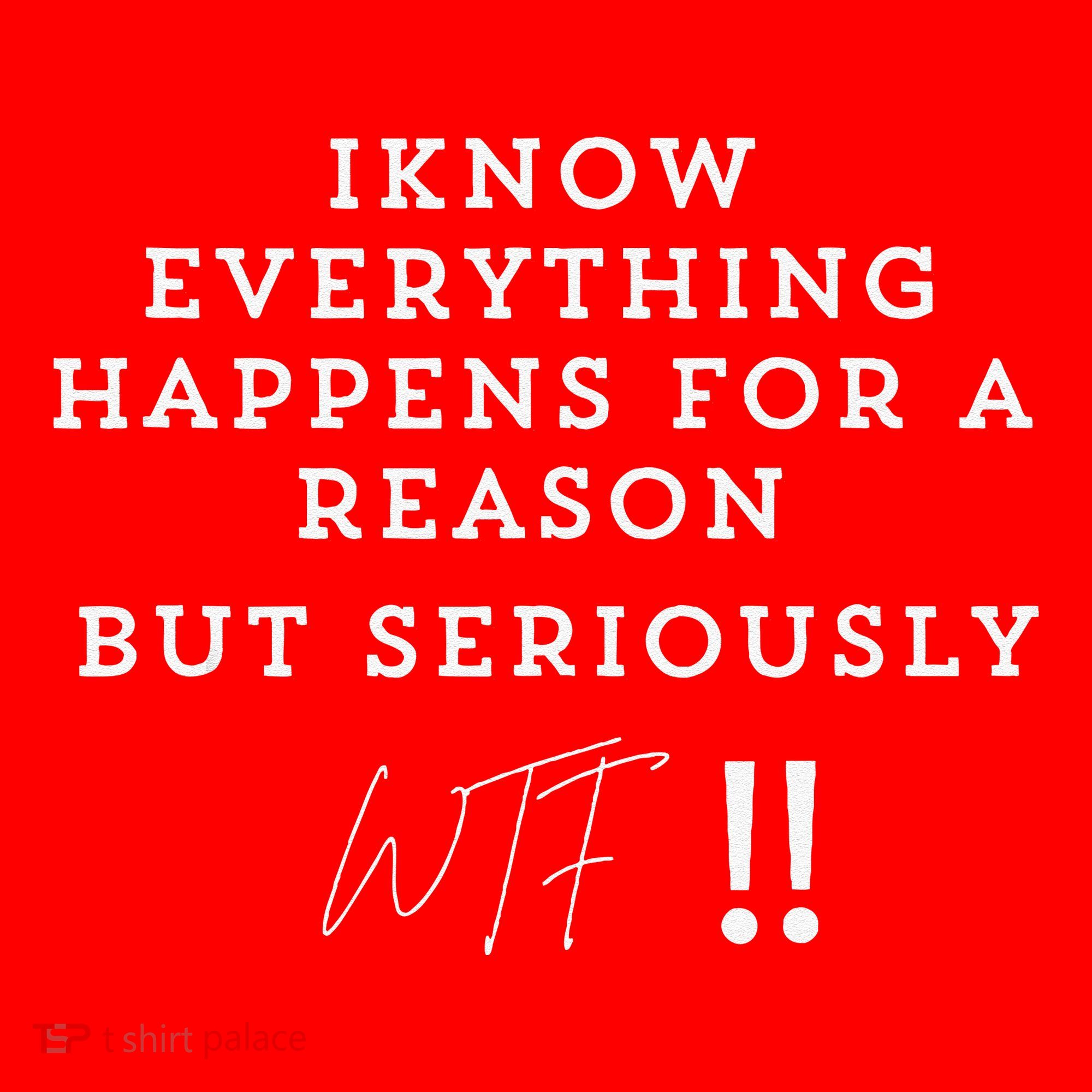 I Know Everything Happens For A Reason But Wtf Funny Santa Hat