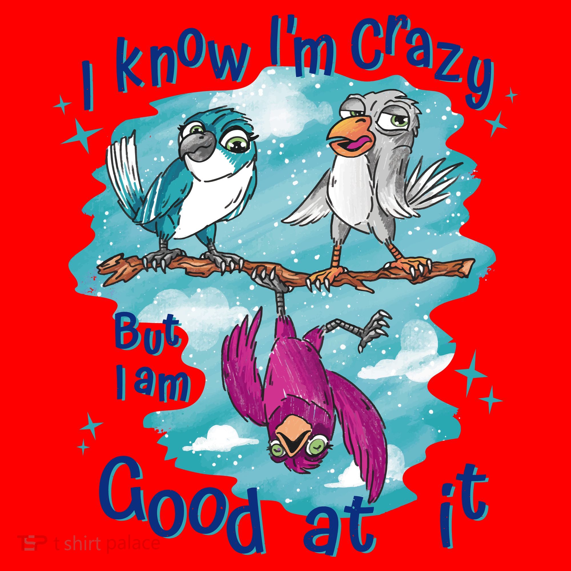 I Know I'm Crazy Funny Birds Santa Hat