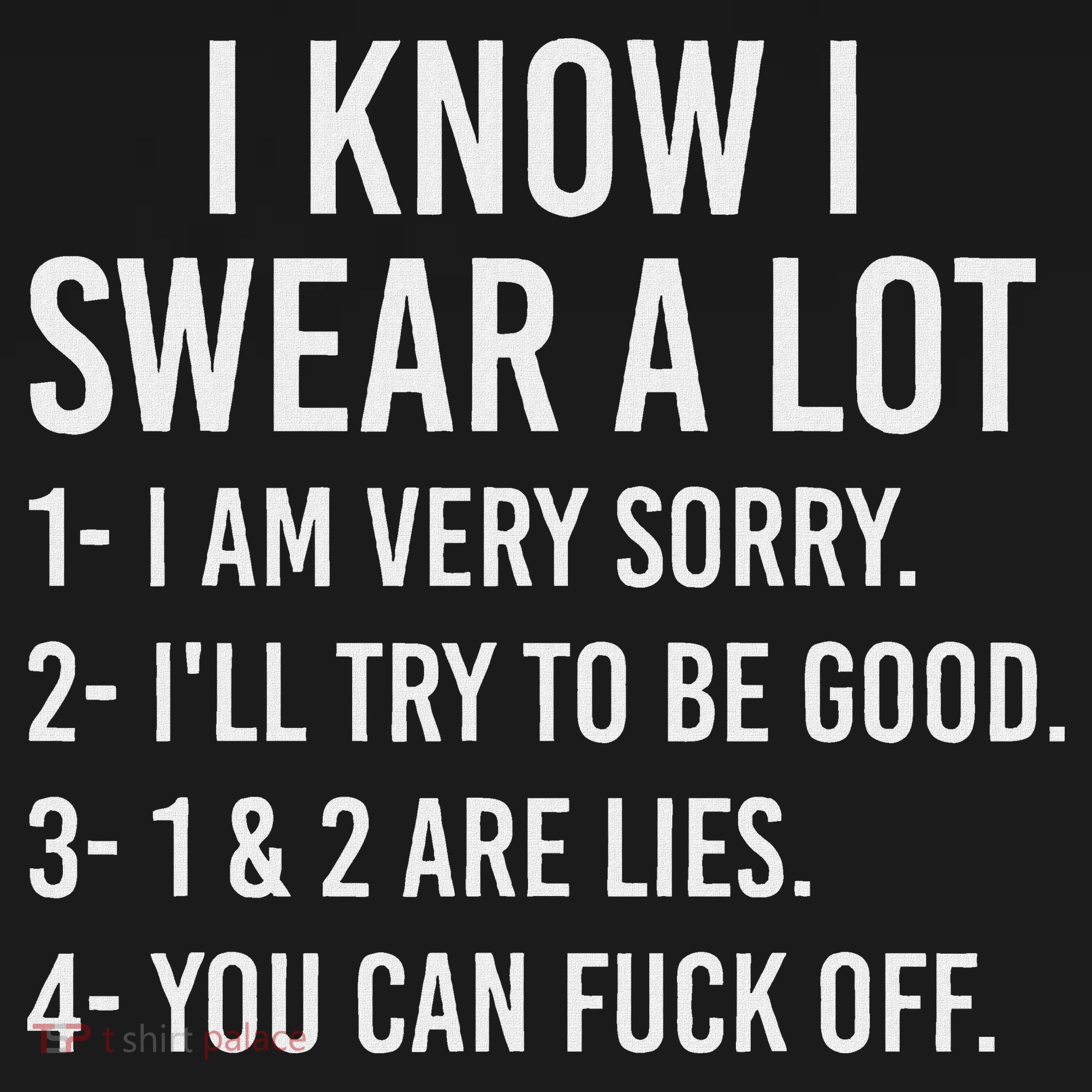 I Know I Swear A Lot Hoodie