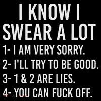I Know I Swear A Lot Women's Hoodie thumb 2