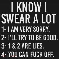I Know I Swear A Lot Kids Sweatshirt thumb 2
