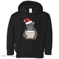 I Knocked Over The Christmas Tree Funny Cat Christmas Gift Toddler Hoodie thumb 0