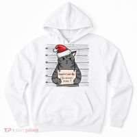 I Knocked Over The Christmas Tree Funny Cat Christmas Gift Hoodie thumb 0