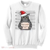 I Knocked Over The Christmas Tree Funny Cat Christmas Gift Sweatshirt thumb 0