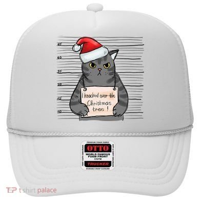 I Knocked Over The Christmas Tree Funny Cat Christmas Gift Hat