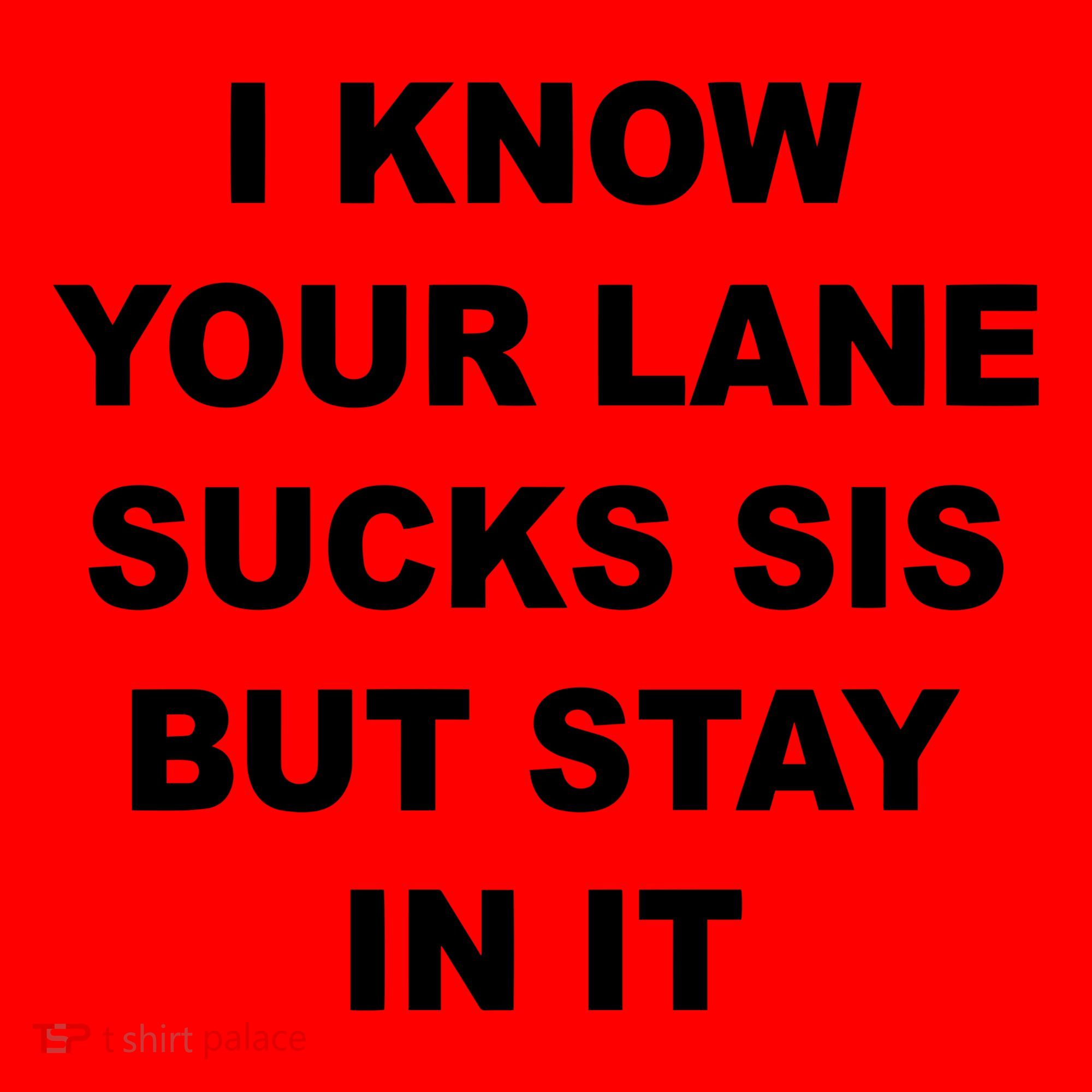 I Know Your Lane Sucks Sis But Stay In It Hoesmad Santa Hat
