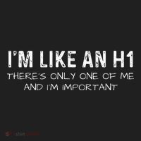 IM Like An H1 Seo Expert Hat thumb 2