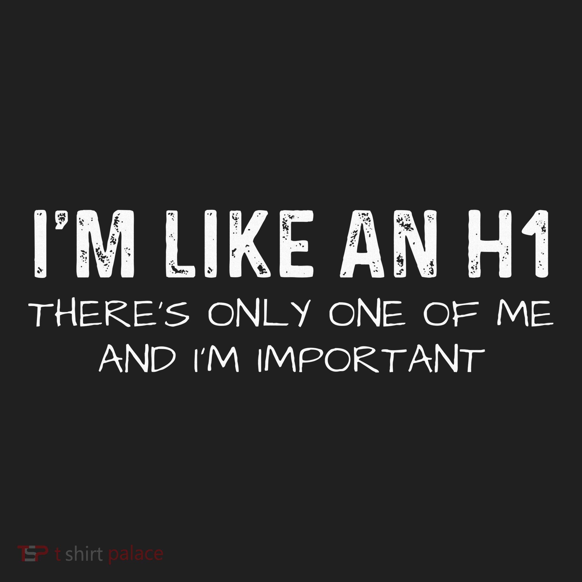 IM Like An H1 Seo Expert Hat