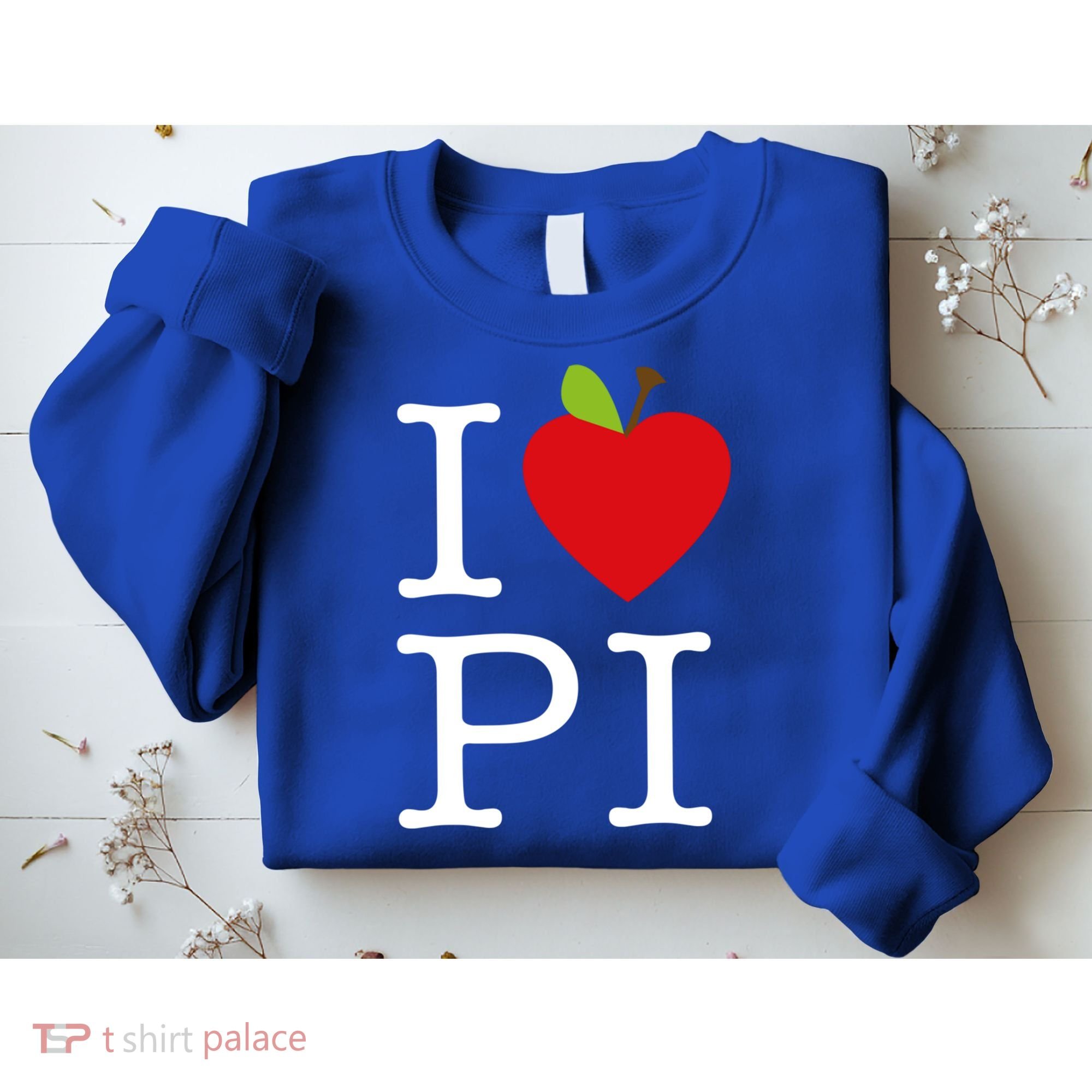 I Love Apple Pi Pie I Funny Math Geeks Gift Sweatshirt