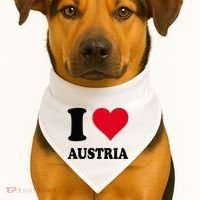 I Love Austria USA-Made Doggie Bandana thumb 1