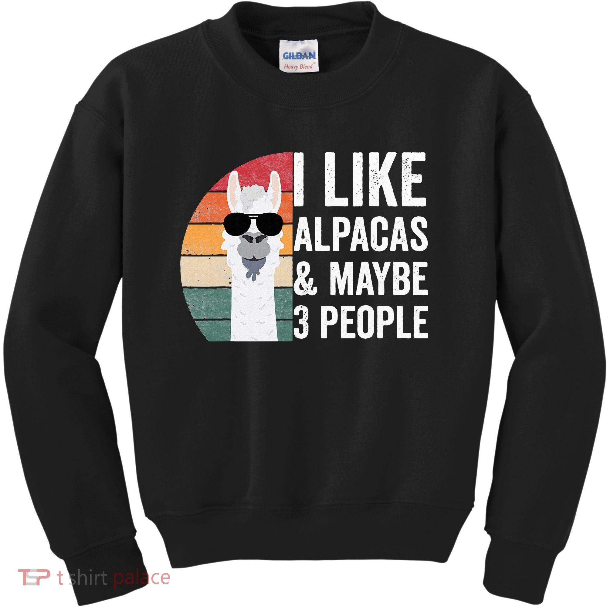 I Like Alpacas And Maybe 3 People Apparel Llama Lovers Kids Sweatshirt