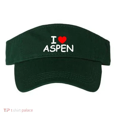 Visor