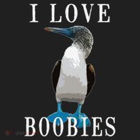 I Love Boobies Blue Footed Boobie Bird Tumbler thumb 3