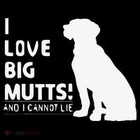 I Love Big Mutts And I Cannot Lie Funny Dog Lover Gift Coffee Mug thumb 5