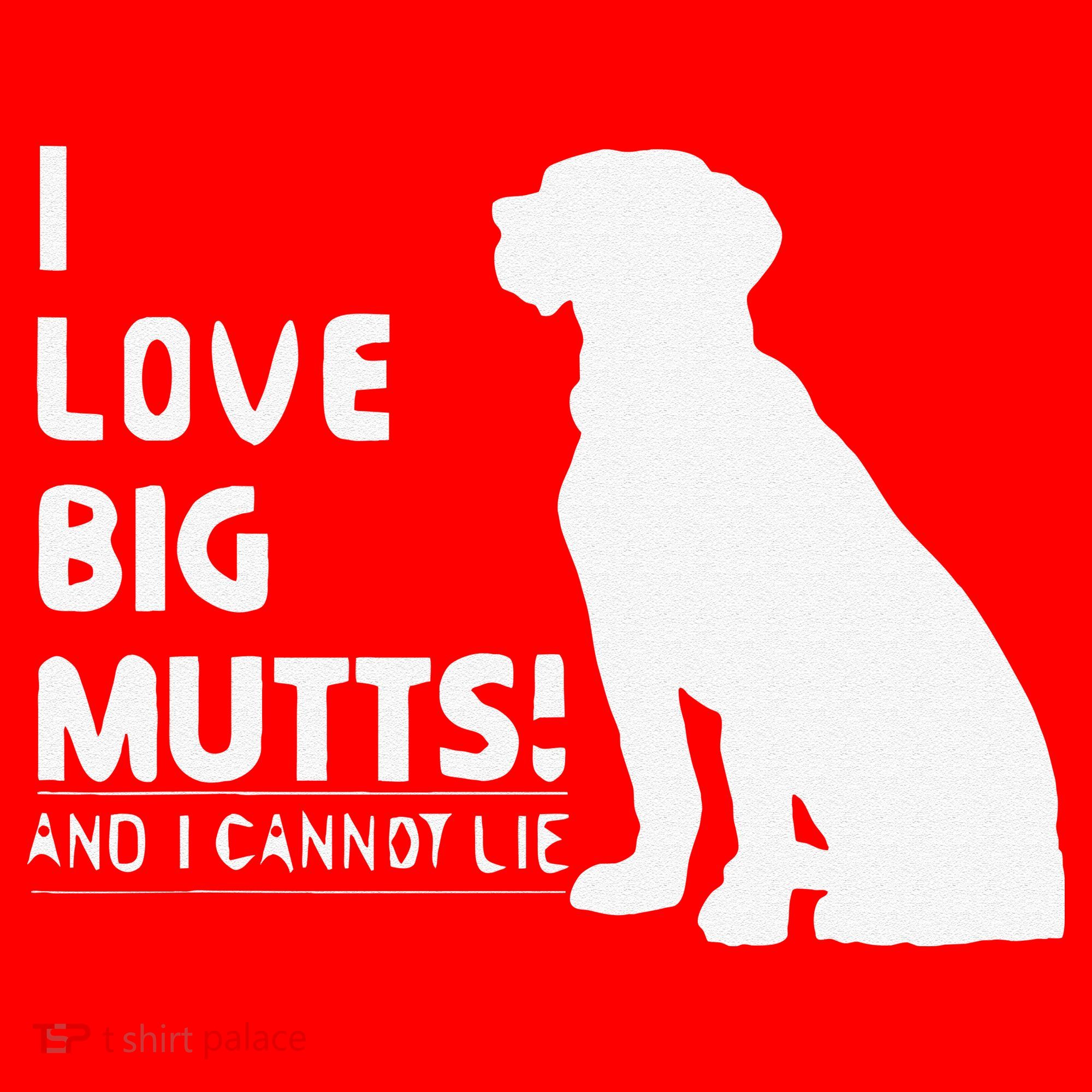 I Love Big Mutts And I Cannot Lie Funny Dog Lover Gift Santa Hat
