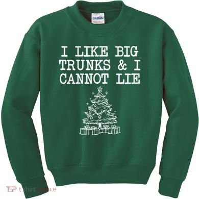 I Like Big Trunks And I Cannot Lie Funny Christmas Kids Sweatshirt