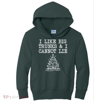 I Like Big Trunks And I Cannot Lie Funny Christmas Kids Hoodie