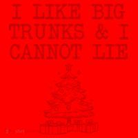 I Like Big Trunks And I Cannot Lie Funny Christmas Santa Hat thumb 1