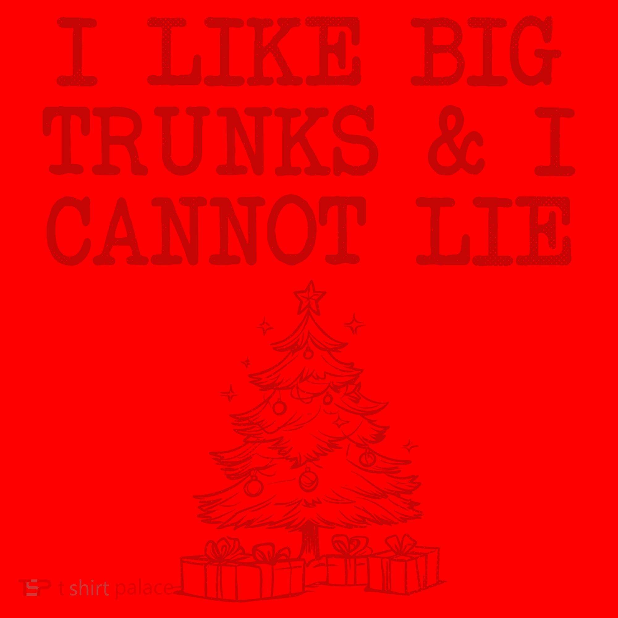 I Like Big Trunks And I Cannot Lie Funny Christmas Santa Hat