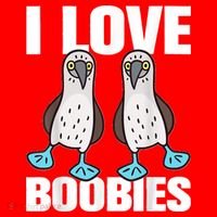 I Love Boobies Blue Footed Boobie Bird Funny Gift For Birdwatchers Kids Long Sleeve Shirt thumb 2