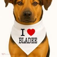 I Love Bladee USA-Made Doggie Bandana thumb 1