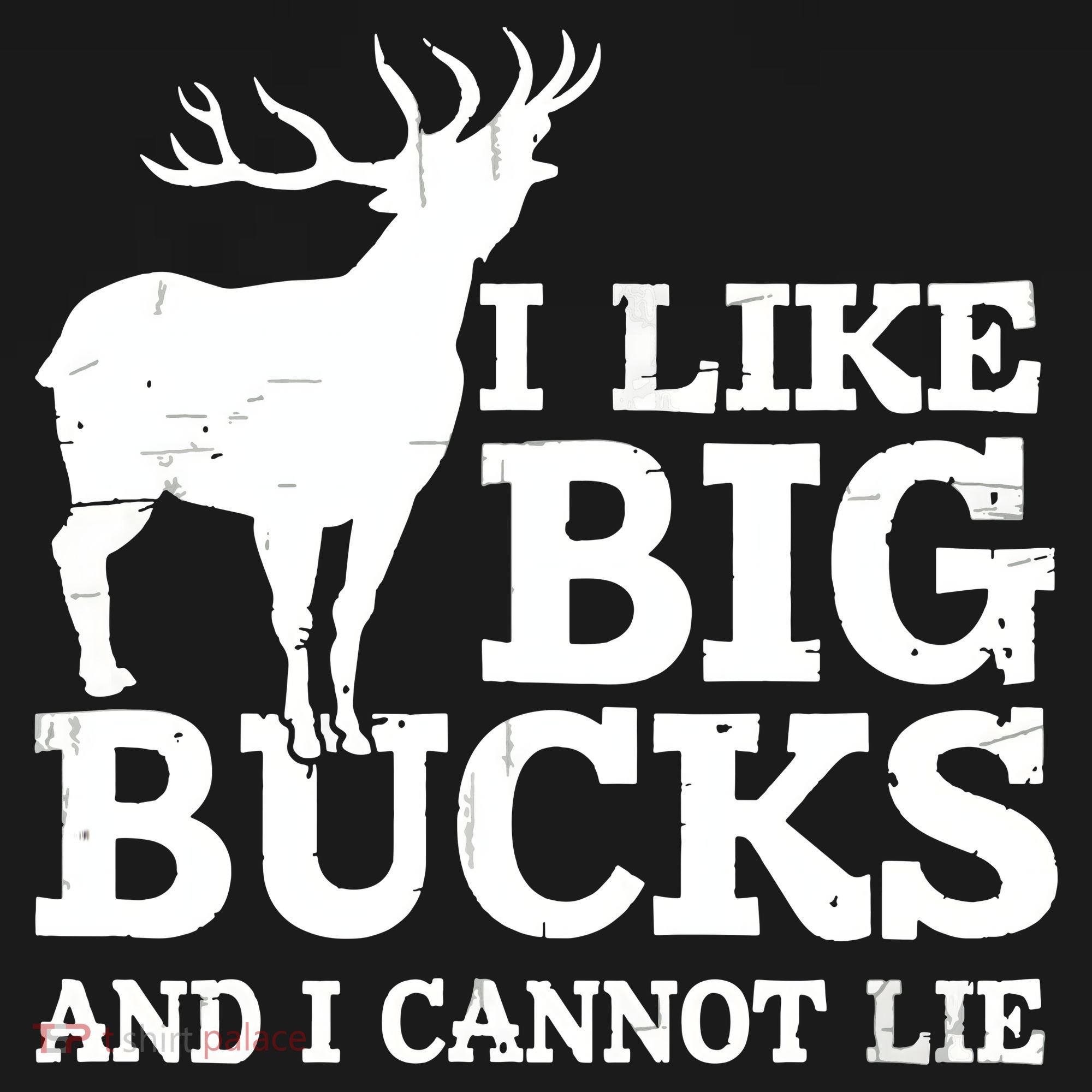 I Like Big Bucks And I Cannot Lie Deer Hunting Ornament