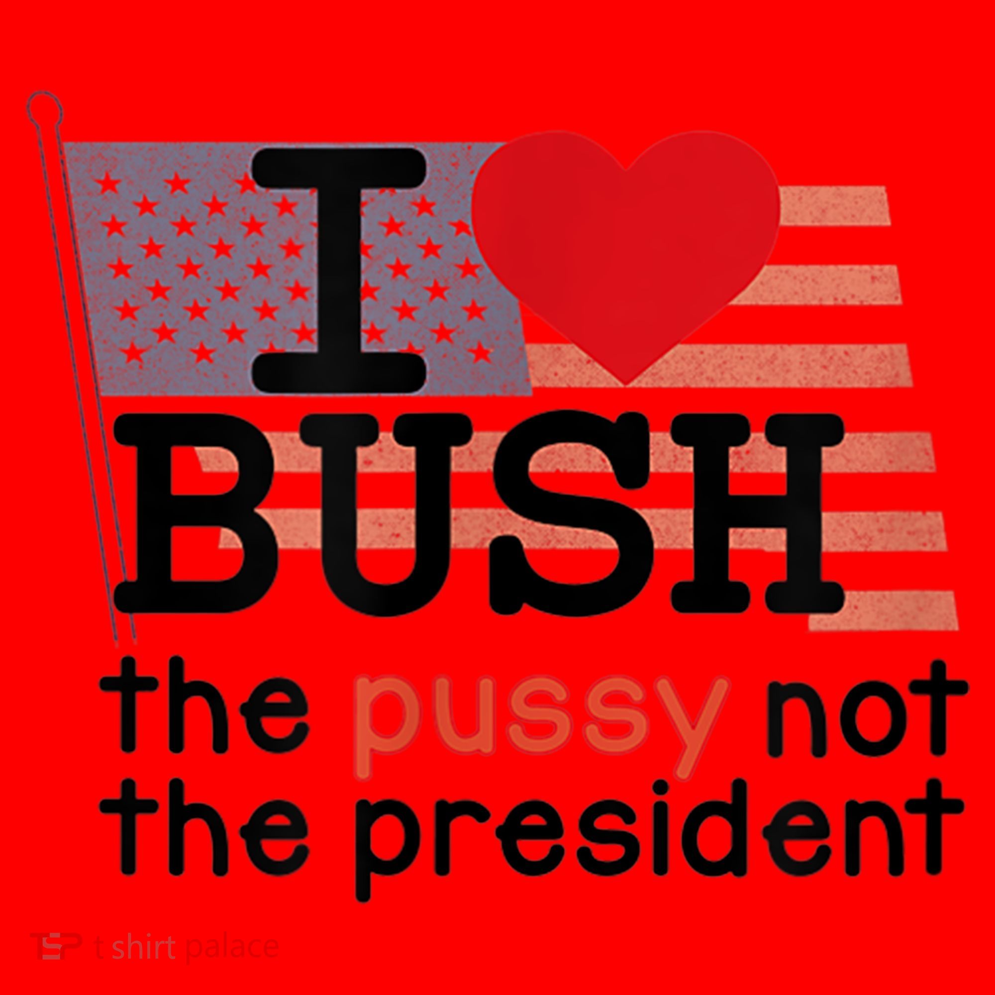 I LOVE BUSH Santa Hat