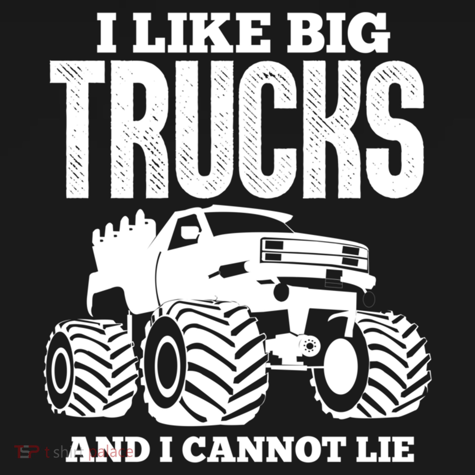I Like Big Trucks And I Cannot Lie Funny Monster Truck Great Gift Women's Hoodie