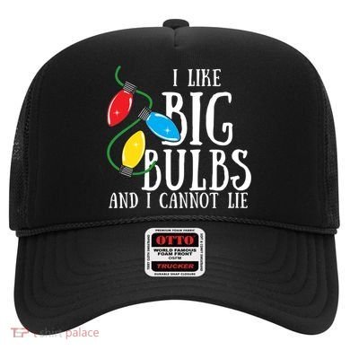 I Like Big Bulbs And I Cannot Lie Funny Christmas Gift Hat
