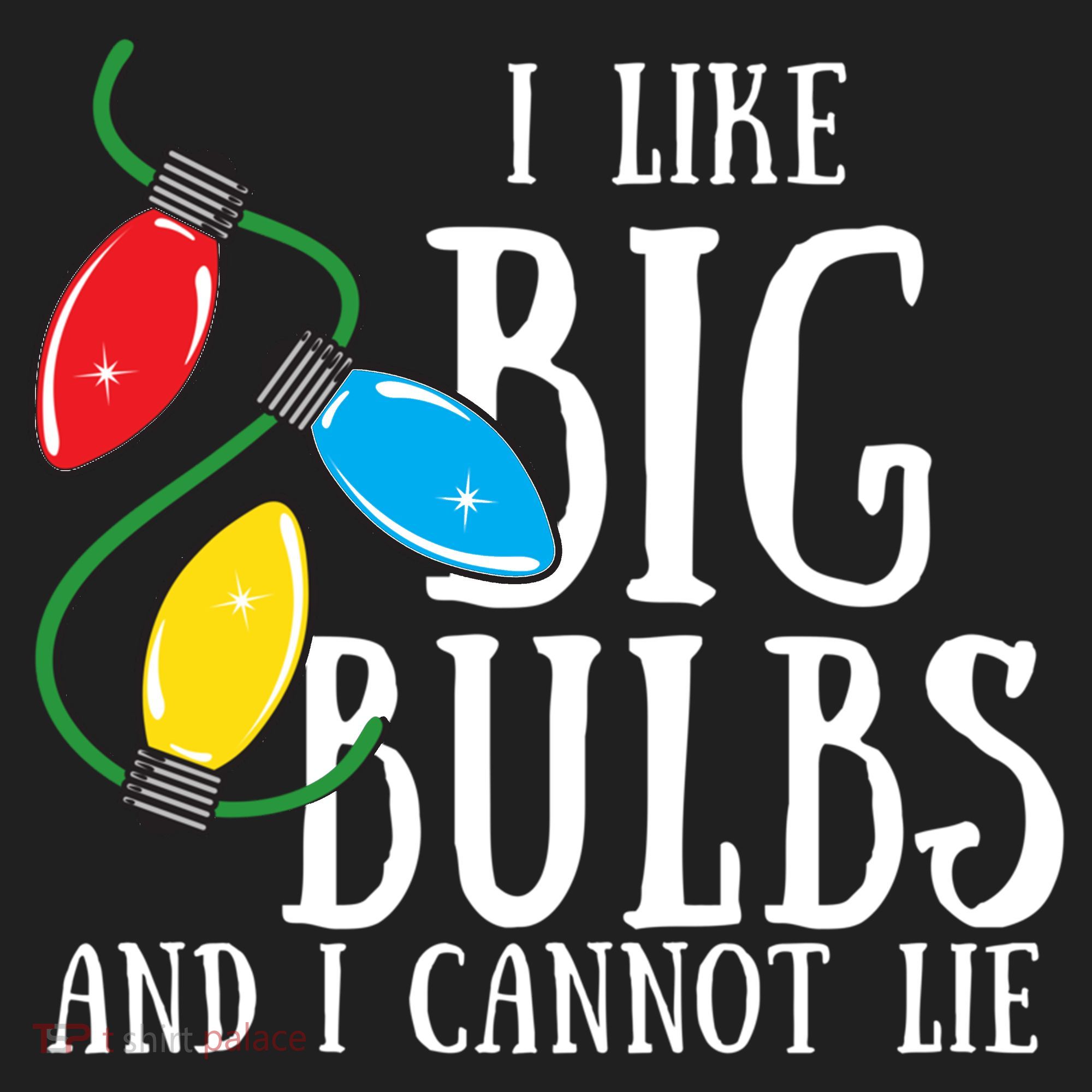 I Like Big Bulbs And I Cannot Lie Funny Christmas Gift Hat