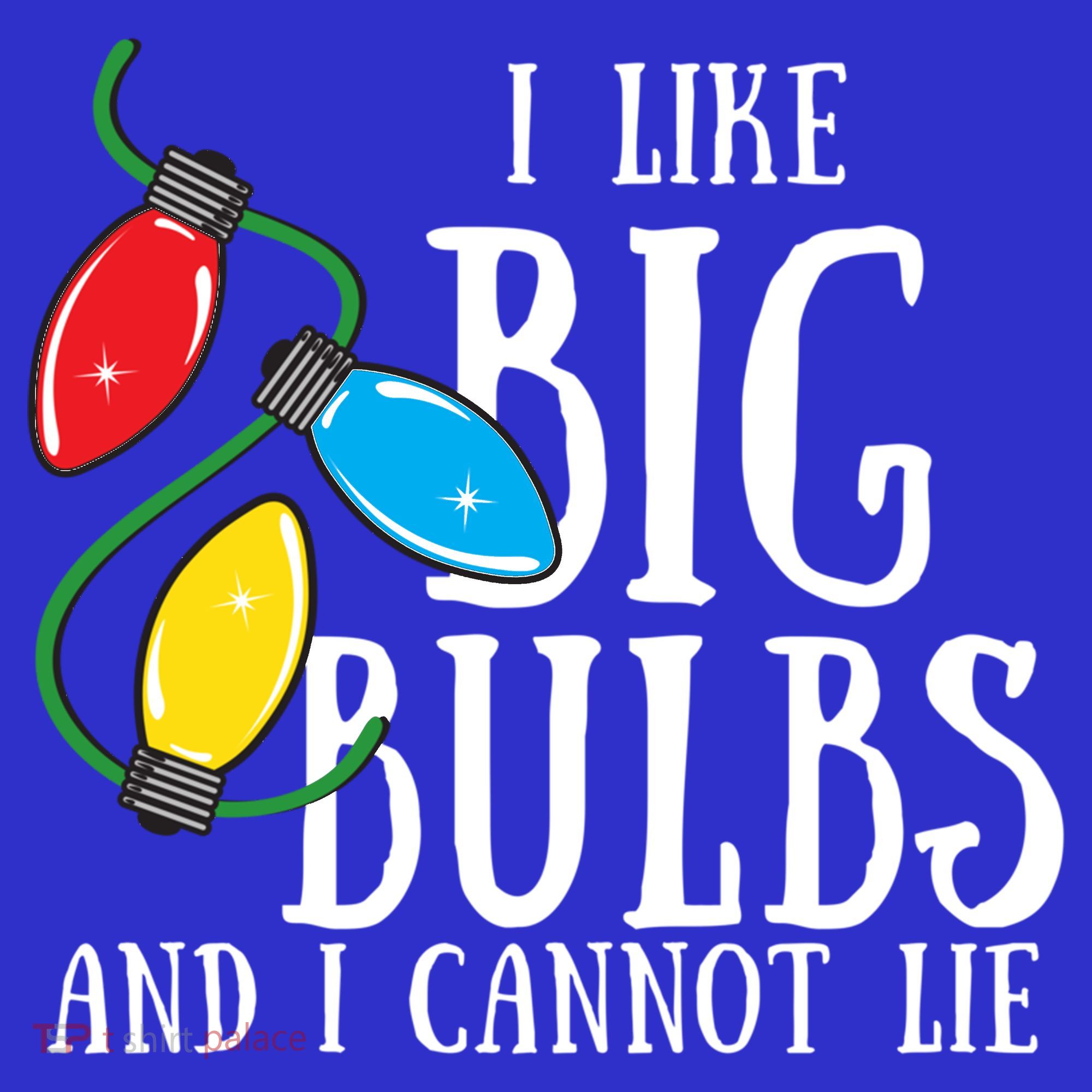 I Like Big Bulbs And I Cannot Lie Funny Christmas Gift Pom Pom 12in Knit Beanie