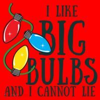 I Like Big Bulbs And I Cannot Lie Funny Christmas Gift Santa Hat thumb 1