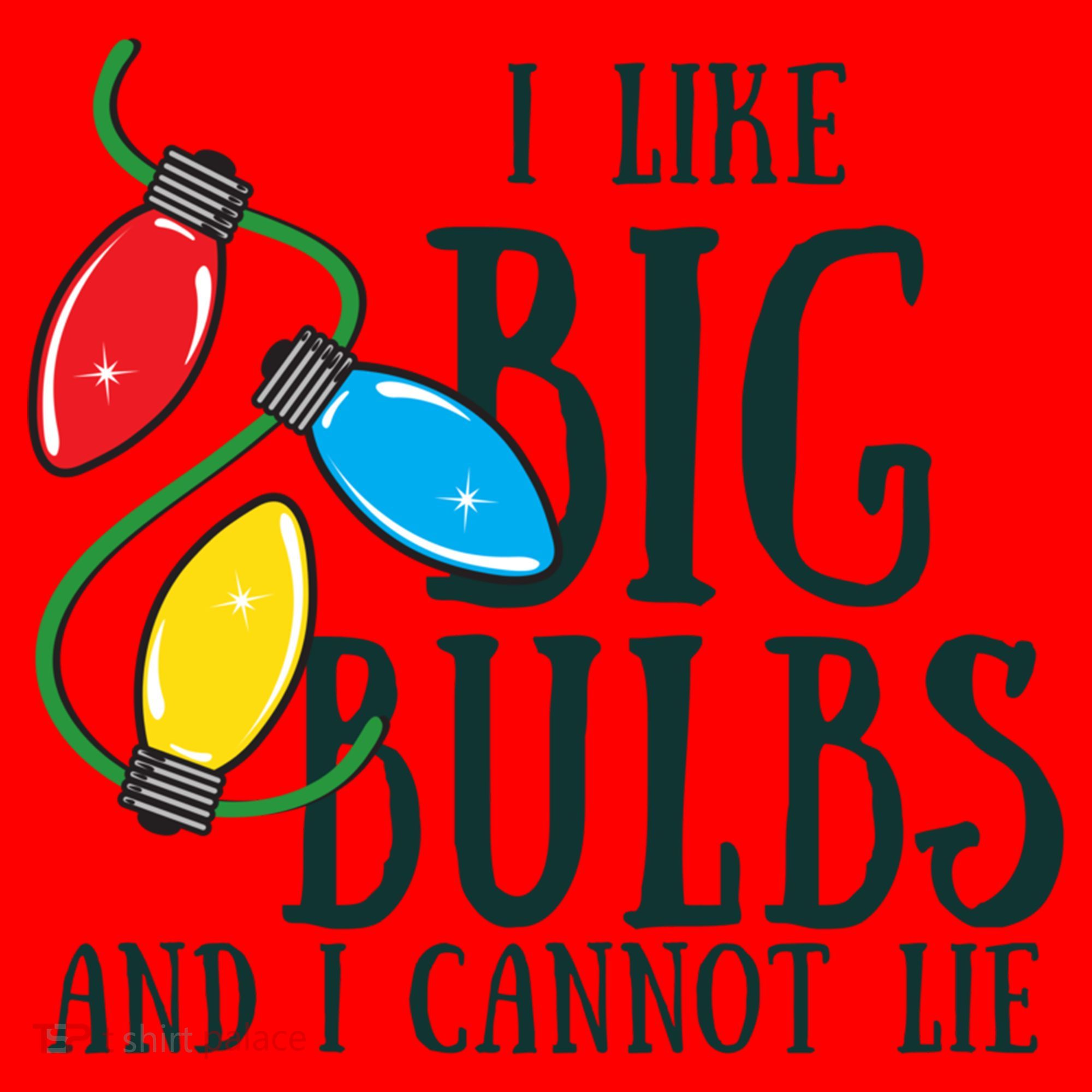 I Like Big Bulbs And I Cannot Lie Funny Christmas Gift Santa Hat