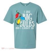 I Like Big Bulbs And I Cannot Lie Funny Christmas Gift Sueded Cloud Jersey T-Shirt thumb 0