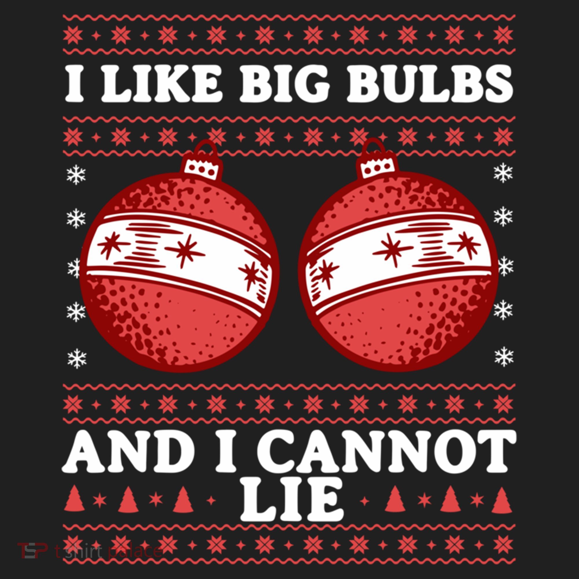 I Like Big Bulbs And I Cannot Lie Ugly Christmas Sweater Gift Beanie