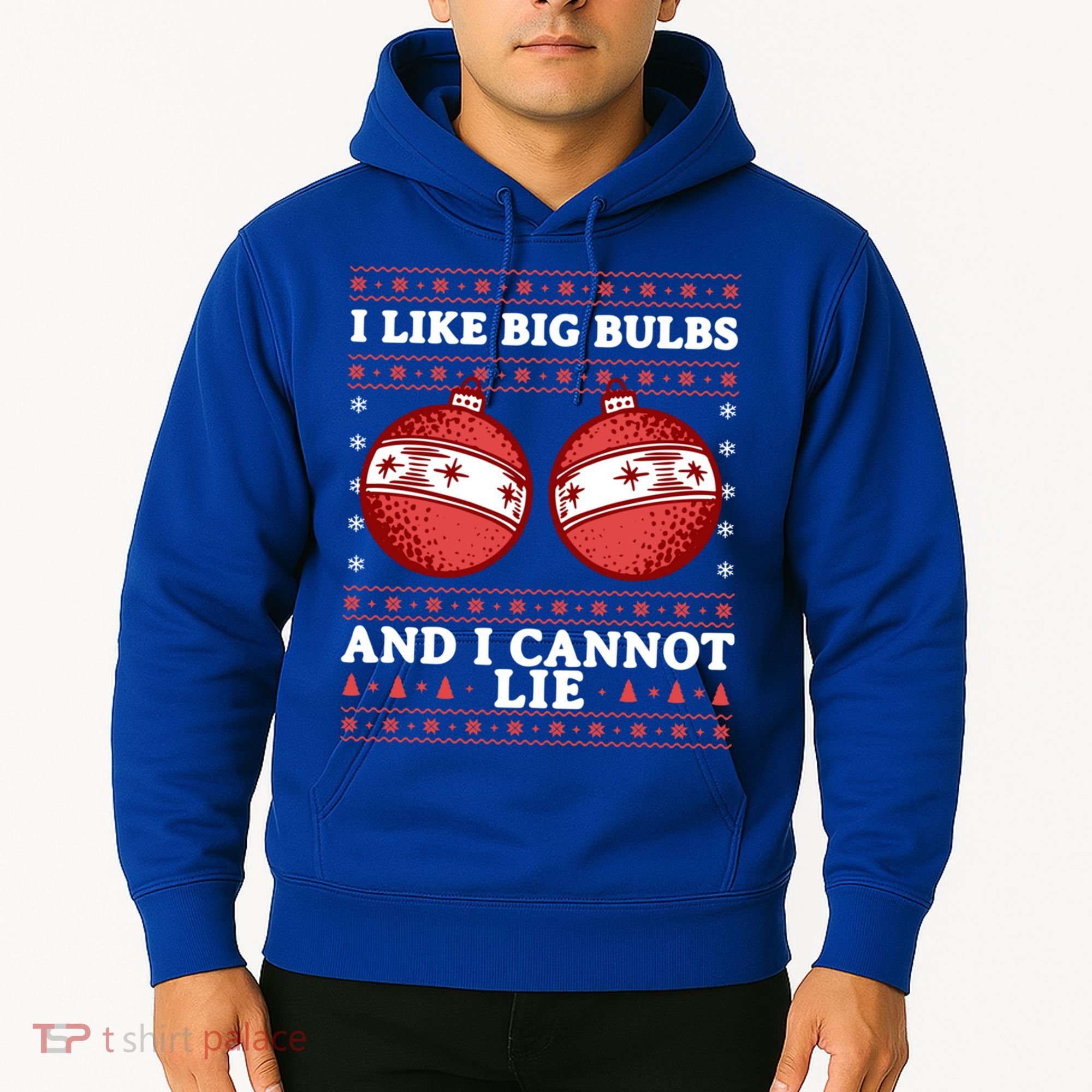 I Like Big Bulbs And I Cannot Lie Ugly Christmas Sweater Gift Hoodie