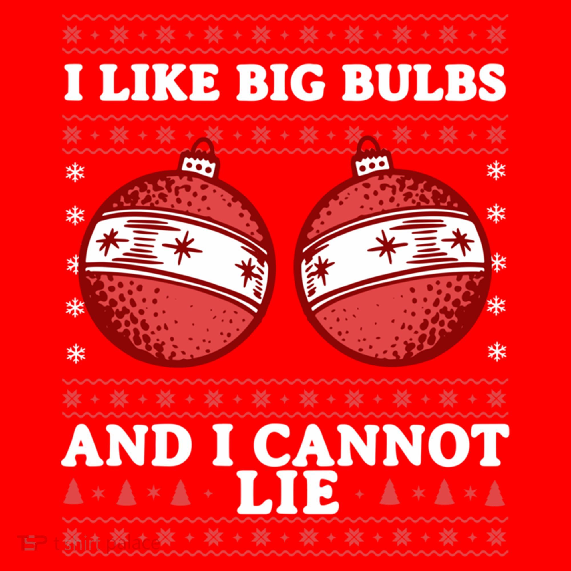 I Like Big Bulbs And I Cannot Lie Ugly Christmas Sweater Gift Santa Hat
