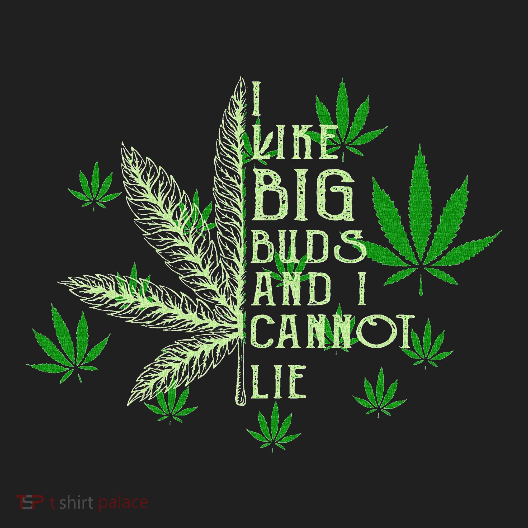 I Like Big Buds And I Cannot Lies Marijuana Leaf Smoker Women's Sweatshirt
