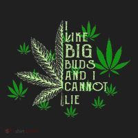 I Like Big Buds And I Cannot Lies Marijuana Leaf Smoker Hat thumb 2
