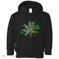 I Like Big Buds And I Cannot Lies Marijuana Leaf Smoker Toddler Hoodie thumb 0