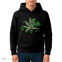 I Like Big Buds And I Cannot Lies Marijuana Leaf Smoker Kids Hoodie thumb 4