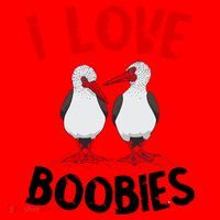 I Love Boobies Bird Funny Red Footed  Santa Hat thumb 1