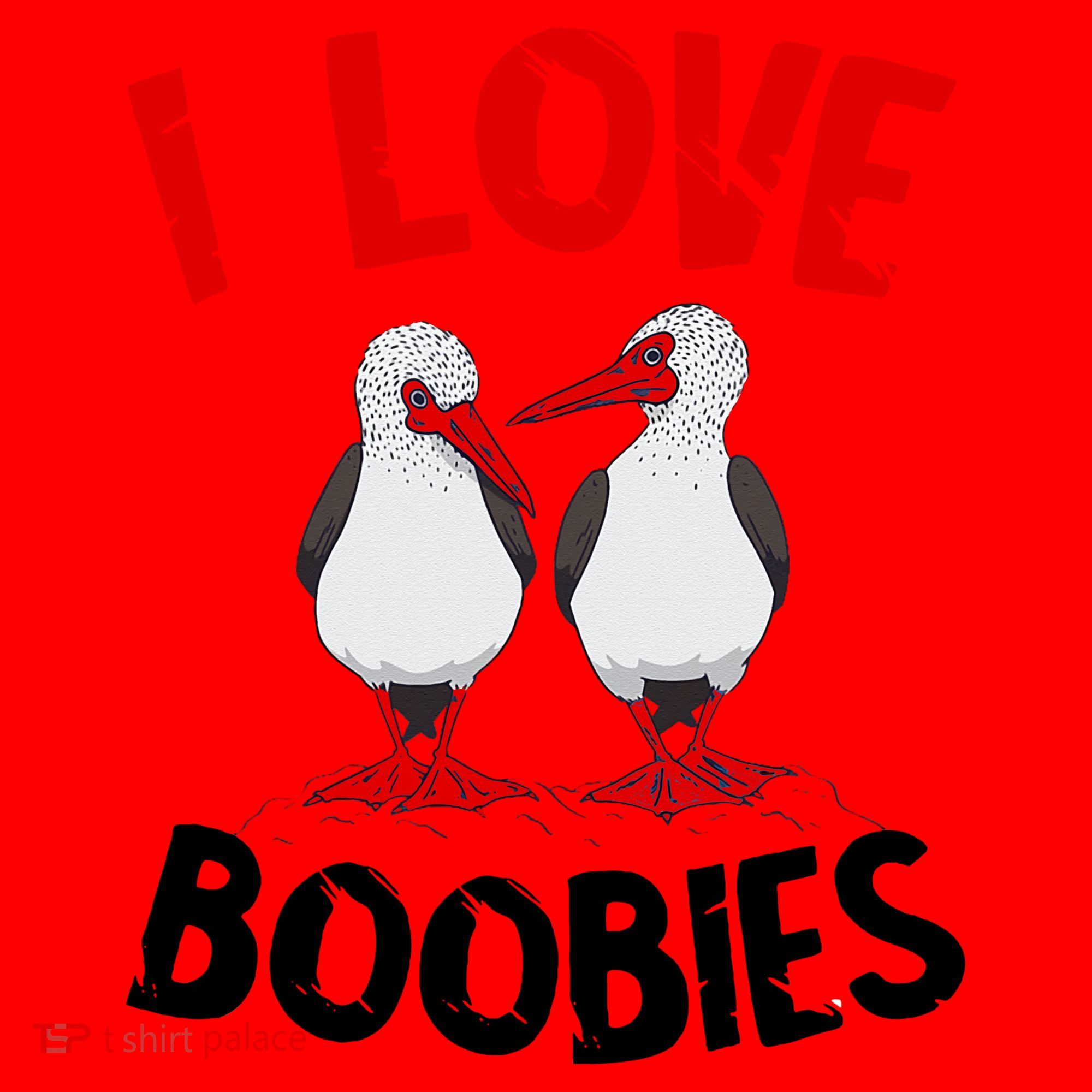 I Love Boobies Bird Funny Red Footed  Santa Hat