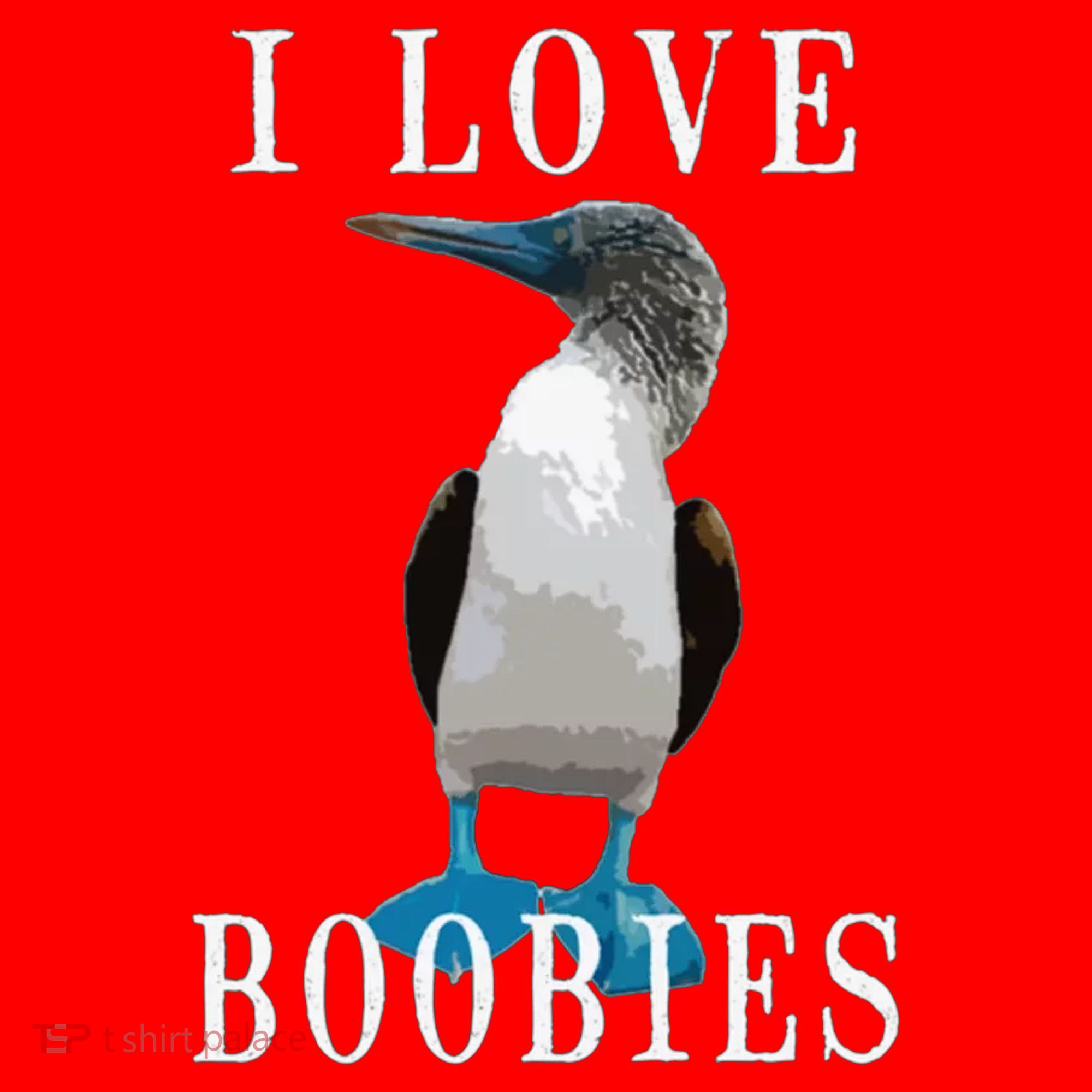 I Love Boobies Blue Footed Boobie Bird Santa Hat
