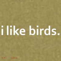 I Like Birds Garment-Dyed Women's Muscle Tee thumb 6